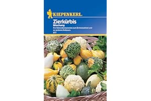 SPERLI Kiepenkerl Zierkürbissamen Mischung 877 - Ideal für Dekorationszwecke - Wuchshöhe bis zu 3 Metern - Inhalt für ca. 20 Pflanzen - Saatgut, Gemüsesamen