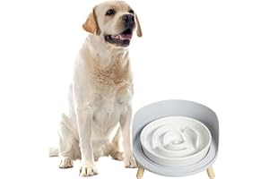 PTOBER Comedero Perro Antivoracidad Comederos Perros - Cuenco Perro Ceramica Lento Comer Antiansiedad - Bol Perro Laberinto Elevado con Base Antideslizante - Plato de Comida para Perros Medianos y Grandes