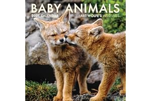 2026 Baby Animals Wall Calendar: Art Wolfe's Wild Lives