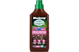 Maxicrop PPSI61L Sequestered Iron, 1L - Iron Infused Natural Seaweed Extract - Protects Against Yellowing - Supports Growth In Difficult Soil Conditions - Plant Nutrition, Blue