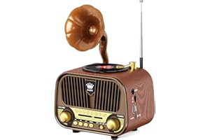PRUNUS RUNUS J-190 Poste Radio Vintage Retro AM/FM/SW, Radio Portable Rechargeable avec 1800mAh, Bluetooth 6.0 et Haut-Parleur 5W, Fonctions USB/TF/AUX Intégrées