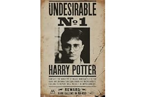 HARRY POTTER GB Eye LTD, Poster, 61 x 91,5 cm
