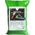 Graines De Gazon Pour Sols Secs Et Ensoleillés - Mélange Résistant à La Sécheresse - 1 Kg Pour 25 M² - Linsor