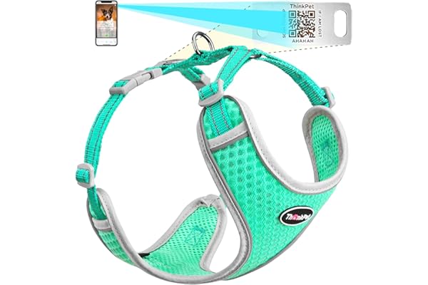 ThinkPet Arnés Reflectante Transpirable de Malla de Aire Suave con código QR para Perro, sin estrangulamiento, Chaleco para Cachorros, Perros pequeños y medianos, Gatos pequeños, Color Verde Azulado