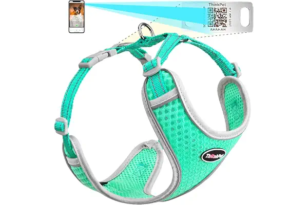 ThinkPet Arnés Reflectante Transpirable de Malla de Aire Suave con código QR para Perro, sin estrangulamiento, Chaleco para Cachorros, Perros pequeños y medianos, Gatos pequeños, Color Verde Azulado
