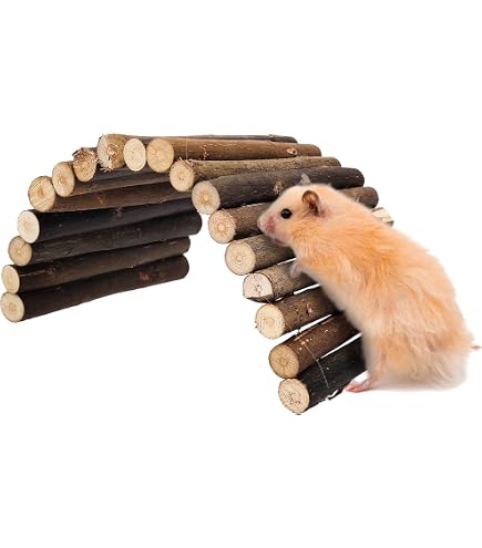 SUNOYA Ponte In Legno Per Criceti – Set Da 2, Tunnel Pieghevole Da 50 Cm, In Betulla Naturale, Per Porcellini D'India, Conigli E Altri Piccoli Animali