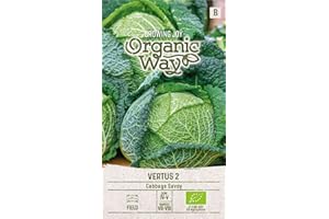 Organic Way | COL VIRTUS 2 semillas | Semillas de hortalizas | 1 paquete