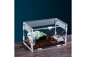 Caja de Alimentación de Insectos: Nizirioo 360° Acrílico Transparente, 20cmx12cm x 12cm Terrario Reptiles, Mini Terrario Lagarto Hábitat Portátil para Reptiles y Mascotas