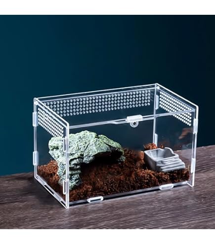 Terrario Acrilico Per Piccoli Animali - 20x12x12cm, Trasparente, Con Foro Di Alimentazione E Ventilazione - Foto 9