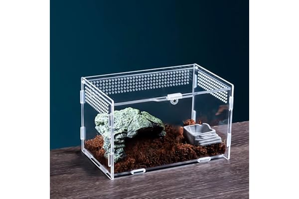 Nizirioo Acrylique Boîte D'alimentation D'insectes: 20cmx12cm x 12cm Boîte D'élevage De Reptiles, 360 ° Transparent Boite Portable Terrarium Insecte, Terrarium Phasme pour Animaux de Compagnie Rampant
