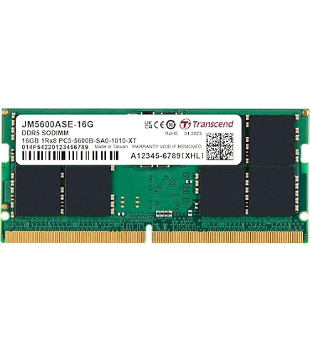 Amazon.in: Buy Samsung 16GB DDR5 5600MHz PC5-44800 ECC RDIMM 1Rx8