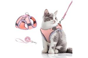 Brifit Katzengeschirr mit Leine Ausbruchsicher, Hundegeschirr Kleine Hunde mit Reflektierenden Streifen, Brustgeschirr für Katze Welpen Verstellbar Softgeschirr [Rosa, XXS] Anwendbares Gewicht: 2-3kg