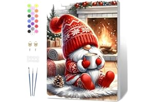 Fumupe Peinture Numero Noël Adulte avec Cadre, Peinture par Numero Gnome, Peinture Acrylique Numéro d'art avec 3 Pinceaux, Loisirs Créatifs Adultes Activité Manuelle Décoration de Noël, 20x30cm