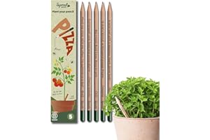 SproutWorld Lápices | Pizza Edition | Lápices plantables con semillas de hierbas y verduras (chile, albahaca, orégano, rúcula y tomate cherry) | Pack de 5 | Regalo sostenible para amantes de la pizza