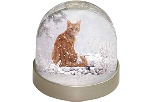 Advanta Group Ginger Winter Snow Cat Photo Snow Globe Waterball