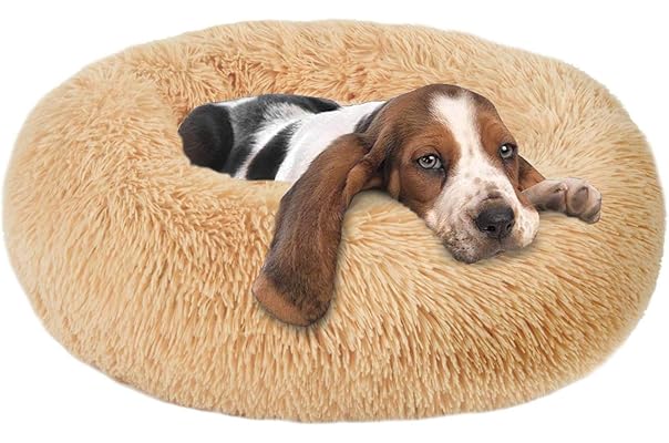 best nesting dog beds