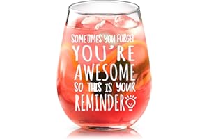 Joymaking Weinglas Freund Geschenke, You are Awesome stielloses Weinglas, Dankeschön Geschenk für Freunde Kollegen, Beste Freunde Geschenke für Sie/Ihn, Geburtstag Geschenke für Frauen Männer 15 oz