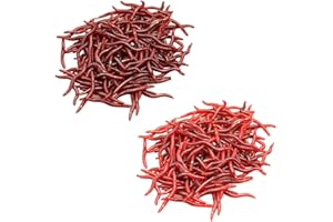 NJCXOLA 100 Stück Künstliche Köder Würmer Fisch, Angel Köder Box Set Weiche Kunststoffwürmer Künstlicher Regenwurm Künstlicher Wurm Forellenköder Gummi Set Für Angeln