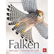 Die Eulen Europas: Biologie, Kennzeichen, Bestände