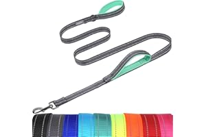 VIVAGLORY Guinzaglio per Cani con Maniglia di Controllo, Doppia Impugnatura Morbida Imbottita, Forte Riflettente & Gancio in Metallo, Grigio