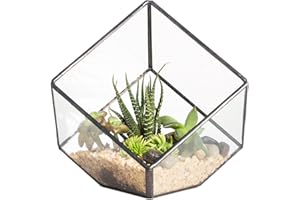 NCYP Glas Geometrische Terrarium Box Hausgarten Fensterbank Balkon Tischplatte Dekor Schrägwürfel Kleine Sukkulente Farn Moos Blume Pflanzgefäß Topf 10cm, Keine Pflanzen