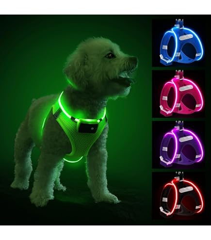 Pettorina Luminosa Ricaricabile USB Per Cani Con 3 Modalità Luce E Strisce Riflettenti – Taglia L