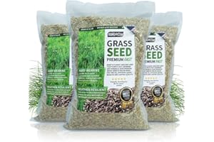 UK GROW UKgrow Fast Grow Grass Seed: Quick-Sprouting Lawn Seed for Patch Repairs & New Lawns - from 1m² to 100m² Packs (5m² Pack)