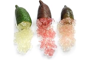 lamphle Semillas de Citrus Australasica,50 Unids/bolsa Semillas de Citrus Australasica Llenas de Vitamina C Nutritivas Agridulces Novela Planta Dedo Naranja Semillas Flor Fruta Árbol Vegetal Semillas