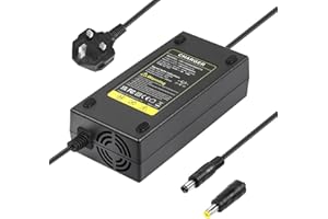 ARyee 54.6V 48V 2A Electric Scooter Charger for 13S 48V Lithium Battery, Li-ion Battery Charger for Electric Wheelchair, Mobility Scooter, Motorcycle, EBike, with 2 Plug, DC 5.5x2.1mm/5.5x2.5mm