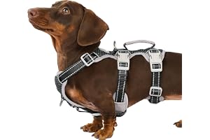Huntboo Hundsele för små hundar,Secure Dog Harness No Escape, Fullt reflekterande sele med handtag,andningsbar,slitstark, jus