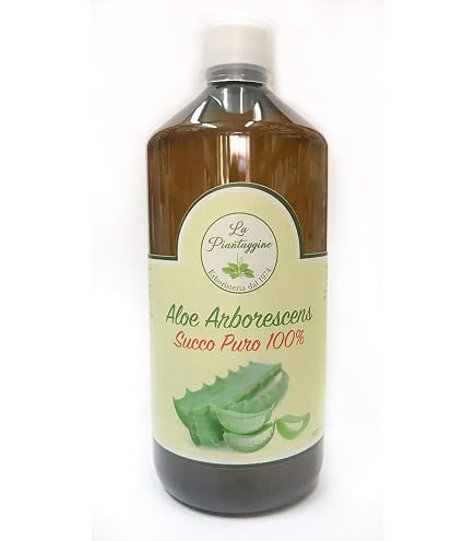 ALOE ARBORESCENS COME DA RICETTA DI PADRE ROMANO ZAGO PRODOTTO DA FOGLIE  FRESCHE 700 ml. La Piantaggine : Amazon.it: Alimentari e cura della casa