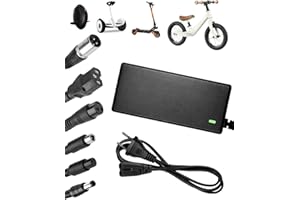 BUZUYIWAR Chargeur Trotinette Electrique, 42V 2A Chargeur Hoverboard, 36V Universel Chargeur Batterie de Trottinette Électrique avec 6 Connecteurs pour M365 Hoverboard E-Bike Scooter Electrique