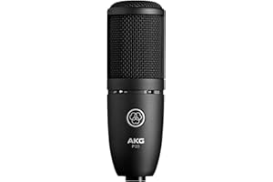 AKG P120 High Performance General Purpose Recording Microphone, Studio Quality, Large Diaphragm, Highly Versatile, Rugged and Robust Design - Black