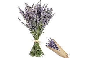 Flores Secas,CHENKEE 120g Ramos de Flores Secas Lavanda Naturales Flores Secas de Lavanda Bricolaje Flores Prensadas para Jardín Oficina Dormitorio Fiestas de Decoración