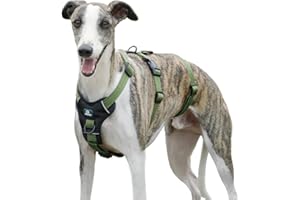 Paworld Pettorina Antifuga Cane, Pettorina Anti Tiro per Cani, Pettorina Cane Taglia Grande, Pettorina Regolabile Cane, Traspirante, Senza Soffocamenti, Allenamento alla Camminata (Verde,L)