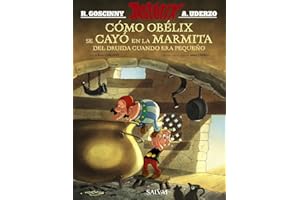 Cómo Obélix se cayó en la marmita del druida cuando era pequeño (Astérix)