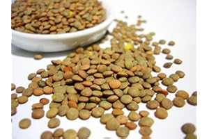 TU PROPIO JARDÍN 100 Semillas de Lentejas Pardinas (Lens culinaris)