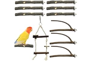 GIONAR 10 Stück Natur Sitzstangen für Vögel Vogelschleifklauen Klettern Stehend Vogelkäfig Zubehör Sitzstangen für Vögel wie Wellensittich, Nymphensittich, Kanarienvogel, Agaporniden