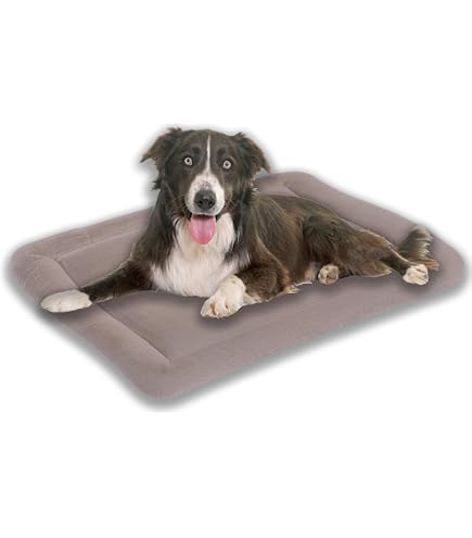 Bobby Poilu Hundekissen – Weiches Donut-Bett Mit Abnehmbarem Bezug, 50 X 25 Cm, Beige
