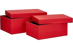 Rössler Papier 13491453360 - S.O.H.O. Caja de cartón Boxline 2, rectangular, roja