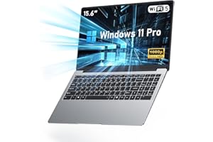 FUNYET 15.6 Ordinateur Portable Celeron N4000, 8Go de RAM LPDDR4 512 Go SSD,Laptops Portable Convertible à 180 °IPS FHD écran 1920x1080,BT5.0,USB3.0, HDMI,Emplacement pour Carte TF,WiFi