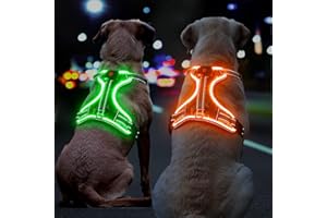 DQGHQME Leuchtendes Hundegeschirr Aufladbar, Reflektierendes Leuchtgeschirr LED Leucht Brustgeschirr Gepolstert, Anti Zieh Hunde Geschirr Leuchtend Verstellbar für Kleine, Mittelgroße, Grosse Hunde (Grün, M)