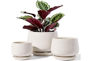 LE TAUCI Pot de Fleurs en Céramique, 11+13+17 cm, Lot de 3, Pot avec Trou de Drainage et Soucoupe, Pot d’Intérieur avec Tapis en Maille, Cadeau pour la Fête des Mères, Beige émaillé