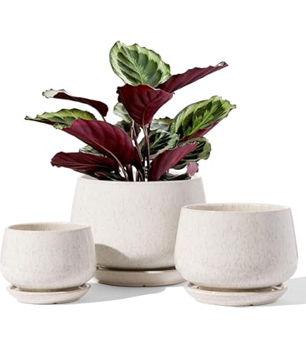 Bac à fleur Ecopots Pot Rond Brussels 25 Gris - 25 x H. 12 cm - 3,6 L