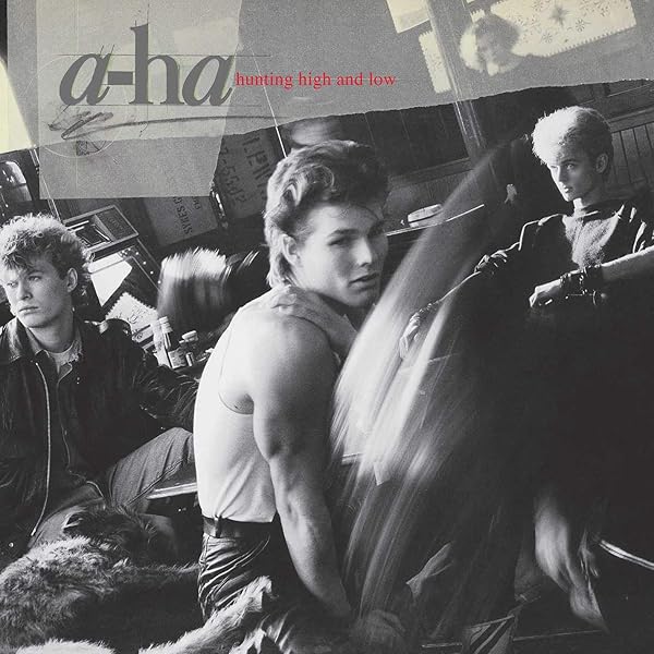 洋書 a-ha: The Swing of Things 1985-2010 Amazon.com: Jan Omdahl: books, biography, latest update