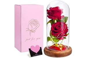 MULEVIP Rose Eternelle sous Cloche, La Belle et la Bête, Fleur avec Lumière LED, Abat-Jour en Verre, Décor Mariage Maison, Cadeau pour Maman/Femme/Mère/Mamie/Petite Amie