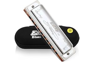 East Top 10 fori 20 toni 008K Armonica diatonica Key of Ab con copertura argento, armonica standard per adulti, musicisti professionisti e studenti