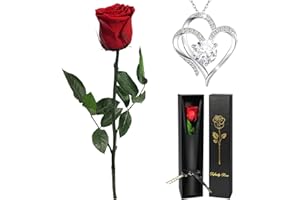 Yamonic Rosa Stabilizzata con Collana Regalo Donna Natale, Vera Rosa Eterna con Steli Idee Regalo per Anniversario, Rosa Eterna Regalo Donna Compleanno,San Valentino Regali per Lei