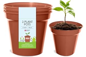 Whitefurze - Basic Plant Pots - Indoor Plant Pots - Flower Pots for Small Plants, Cuttings & Seedlings - Durable Polypropylene Plant Pots for Indoor & Outdoor Use, 15cm Diameter - Set of 3
