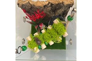 Okueejur Jumping Spider Rope Bridge,A Solid Wood Climbing Suspension Bridge, Jumping Spider Enclosure Accessory, Handmade Spider Jumping Platform, Decorative Accessory for Small Reptile (Small)